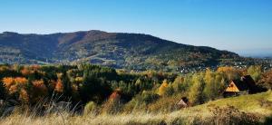 a view of a hill with trees and a mountain at JAWORNICA HOUSE domek z pięknym widokiem in Targanice