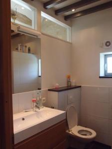 a bathroom with a sink and a toilet at La Forge in Sainpuits