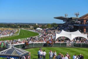 a large crowd of people watching a horse race at The Lairgate in Beverley +19 photos