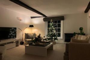 una sala de estar con un árbol de Navidad frente a una ventana en Crown Street 4, en Bury Saint Edmunds