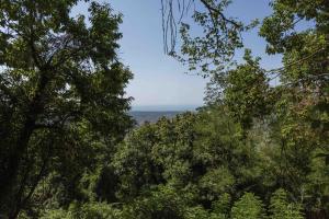 a view of the ocean through the trees at Villa Alexandra by MMega in Riomagno +31 photos