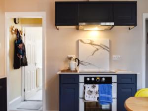 a kitchen with blue cabinets and a stove at Ratcliffe Cottage in Ipswich