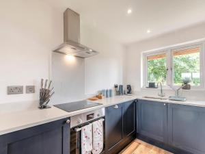 Una cocina con gabinetes azules y un fregadero. en Heron's Den - Uk44529, en Horncastle