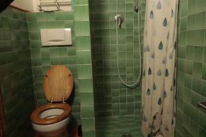 a green tiled bathroom with a toilet and a shower at Biker house in Ronciglione +2 photos