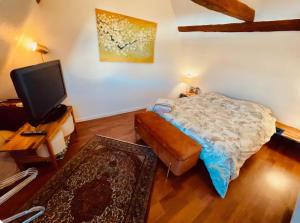 a living room with a bed and a tv at Chez Litchee et Albane in Vendenheim