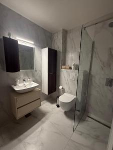 a bathroom with a toilet and a sink and a shower at Apartman ANDJELIJA 3 in Bački Brestovac