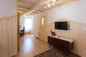 a living room with a tv and a cat on a table at Szarotka in Bukowina Tatrzańska