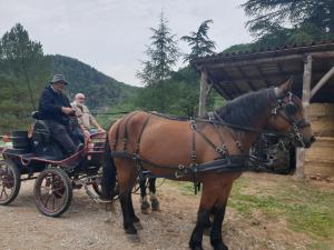 two people riding in a horse drawn carriage at Auberge de Lascours, gîte d'étape pleine nature. in Ceilhes-et-Rocozels