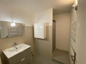 マルシー・レトワールにあるAppartement indépendant dans une maisonの洗面台とシャワー付きの白いバスルーム