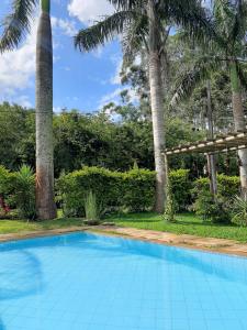 a blue swimming pool with palm trees in the background at Chalé Rústico Rota Bar 448 in Correia de Almeida