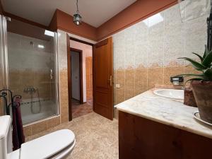 Ένα μπάνιο στο Madre Amada Accommodation Tenerife +19 φωτογραφίες