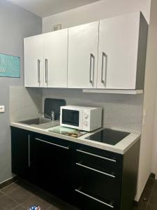 セリにあるAu pied de Disneyland Parisの電子レンジとシンク付きのキッチン