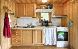 Ringboにある1 Bedroom Amazing Home In Särnaの小さなキッチン(木製キャビネット、コンロ付)