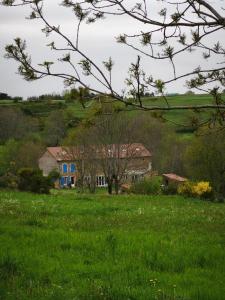 une maison bleue dans un champ d'herbe verte dans l'établissement Gîte du Feuil, à Blassac