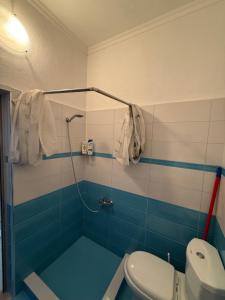 a bathroom with a toilet and a shower at SunHome Ismailaj in Poliçan +19 photos