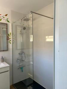 une douche avec une porte vitrée dans une salle de bain dans l'établissement Casa Cactus Paraiso, à Parque Holandes 31 autres photos