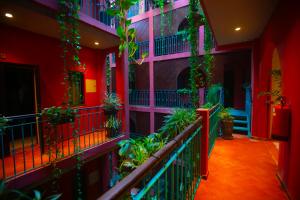 a hallway with plants on the side of a building at Hôtel La Villa Racine in Dakar