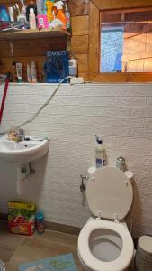 a bathroom with a toilet and a sink at Gárdonyi faház in Gárdony