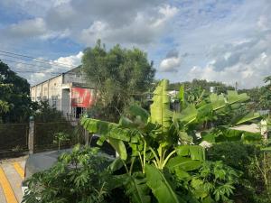 Κήπος έξω από το Hotel Tân Thành +8 φωτογραφίες