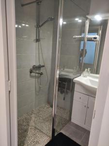 a bathroom with a shower and a sink at Maison Proche Gare in Neufchâteau