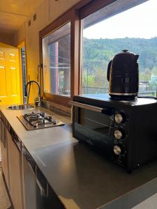 a kitchen with a microwave on top of a counter at Tiny house río Calle Calle in Valdivia +29 photos