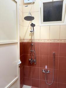 una ducha con cabezal de ducha en un baño en شقق لينا الخاصة, en Hail
