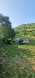 LivariにあるLivari CAMPINGの天幕の集団