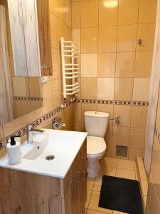 Ένα μπάνιο στο Dom gościnny Ania Apartament nr 1