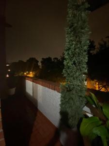 a palm tree sitting on the side of a wall at CANEY Traveller House in Cali