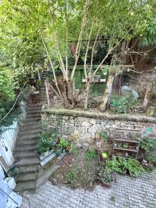 a garden with a stone wall and a tree at Apartment near Central Park with garden view in Cluj-Napoca