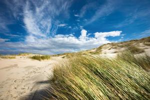 a sandy beach with grass and a blue sky at Schönster Blick in Juist +4 photos