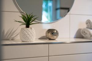 Una planta en un jarrón blanco en un estante en un baño. en Ferienhaus VierSeen - Müritz, Fleesensee, Kölpinsee, Plauer See, en Walow 15 fotos más