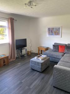 a living room with a couch and a tv at Almondbank Cottage - 2 Bedrooms, 8 miles from Portree in Skeabost