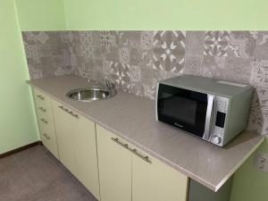 a microwave sitting on a counter next to a sink at House Natalija in Apatin