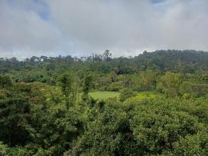 Φυσικό τοπίο κοντά σε αυτή η βίλα +4 φωτογραφίες