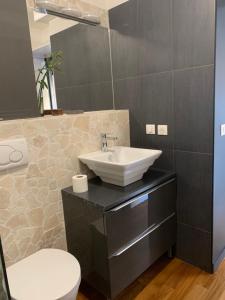 a bathroom with a sink and a toilet and a mirror at Juan les Pins Joli T2 parking inclus! in Antibes