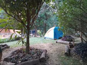 a blue and white tent in a field with trees at Área de Camping a 900m da Vila do Capão, Somente a Área Para Barraca in Palmeiras