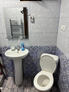 a bathroom with a toilet and a sink at Ners House in Garni +55 photos