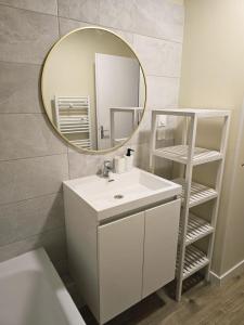a bathroom with a white sink and a mirror at Charmant T2- Besançon hyper centre in Besançon