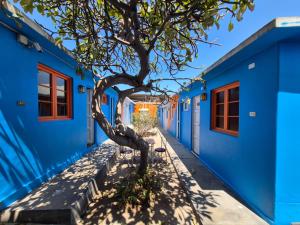 Φωτογραφία από το άλμπουμ του Illariy Wasi Hostal σε Arica