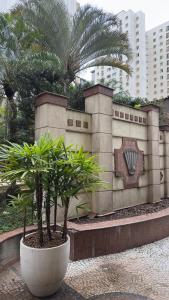 a plant in a white pot in front of a building at TrevizZo Mercure! in Sao Paulo +9 photos