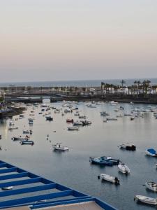a bunch of boats are in the water at Casa sofia in Argana