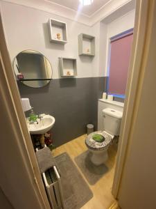 a bathroom with a toilet and a sink and a mirror at Stylish Standard Room in Chatham in Chatham