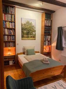 a bedroom with a bed and bookshelves filled with books at Ferienwohnung im Heidjerhaus in Suderburg