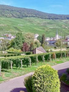 a view of a village with a house and a road at Hard to leave in Piesport