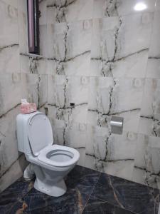 a bathroom with a toilet and a marble wall at Lori Hills Agritourism in Gyulagarak