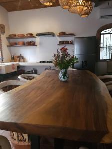 サユリタにあるCasa Nubeのキッチン(花瓶付きの木製テーブル付)