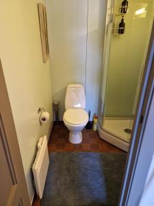 a small bathroom with a toilet and a shower at Nice apartment at Golsfjellet in Gol +7 photos