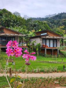 a house with pink flowers in front of it at Ananaí Chalés in Pomerode