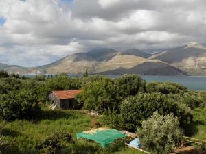 Gallery image of Kolona Apartments in Lixouri